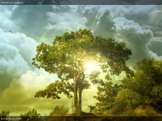 2154 (a): :1024x768